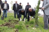 Кампусту жашылдандыруу иши уланууда