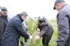Кампусту жашылдандыруу иши уланууда