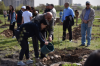 Kampüsün Ağaçlandırılmasına Devam Ediliyor