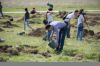 Kampüsün Ağaçlandırılmasına Devam Ediliyor