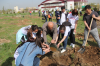 Kampüsün Ağaçlandırılmasına Devam Ediliyor