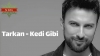Kedi Gibi