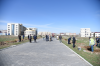 Kampüs Daha da Yeşilleniyor