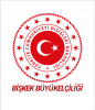 Türk Toplumundan Kovid-19 İle Mücadele Eden Kırgızistan'a Destek