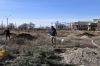“Алтын балалык” борборунун аймагына көчөттөр отургузулду