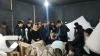 Öğrencilerin İş Yeri Ziyaretleri