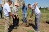 Bodur Meyve Bahçesi Tesis Edildi