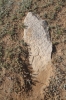 Moğolistan’da Büyük Keşif