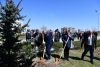Kampüs Yeşillendirilmeye Devam Ediliyor