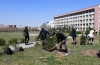 Kampüs Yeşillendirilmeye Devam Ediliyor