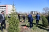 Kampüs Yeşillendirilmeye Devam Ediliyor