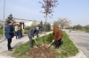 TİKA’dan Manas’a Ziyaret
